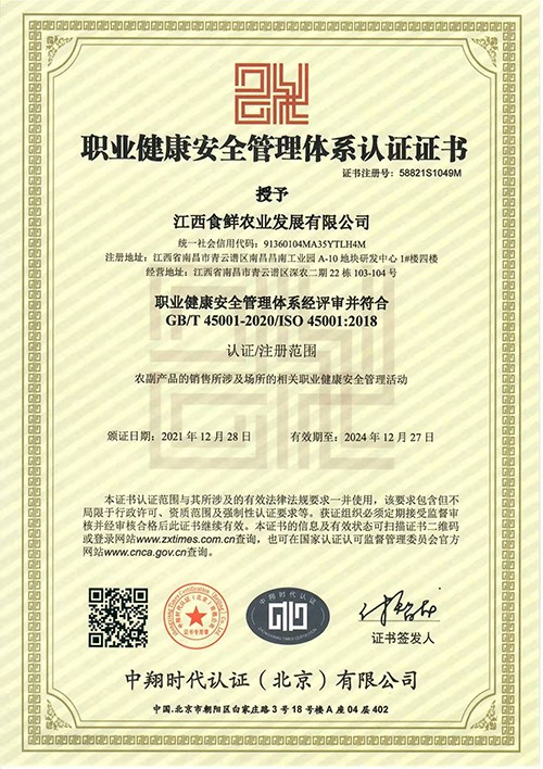 职业安全体系中文版
